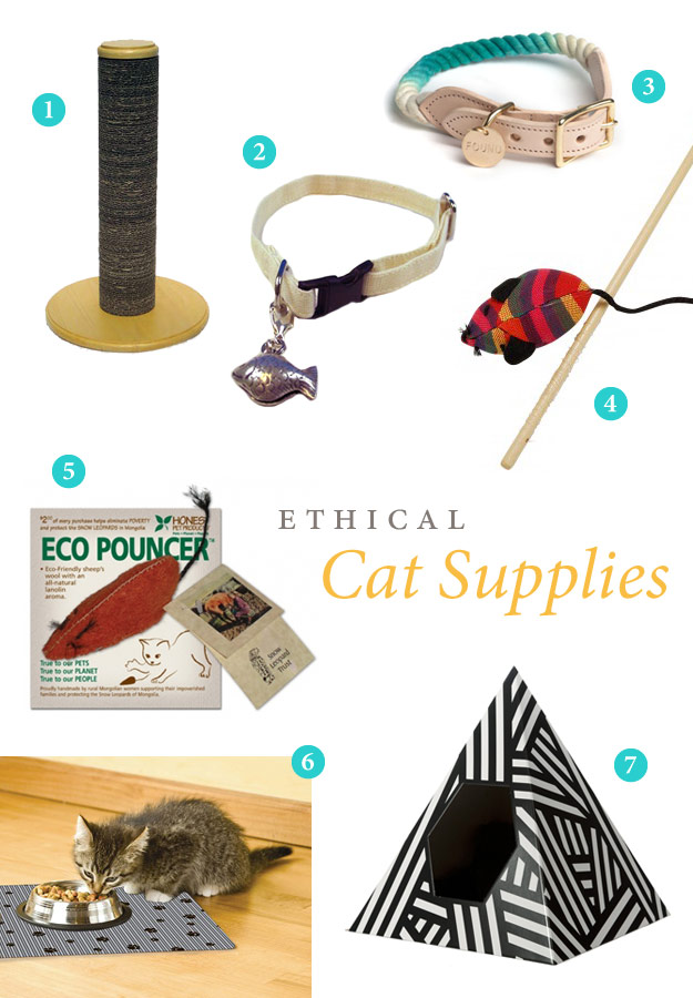 Collage of ethical cat supplies