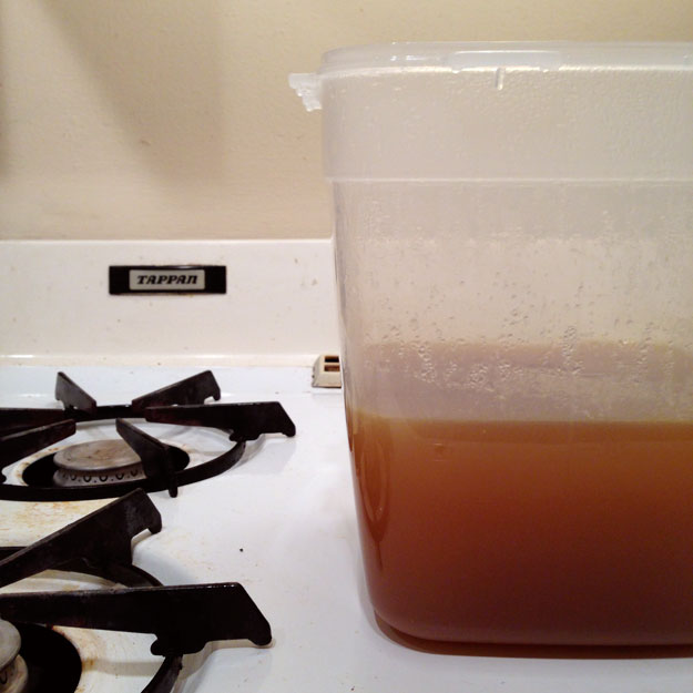 Homemade vegetable stock in plastic container